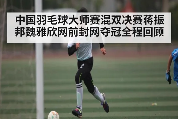 中国羽毛球大师赛混双决赛蒋振邦魏雅欣网前封网夺冠全程回顾